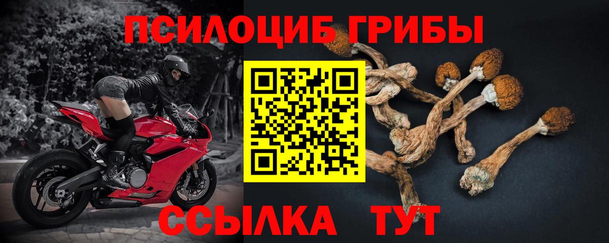 Галлюциногенные грибы Magic Shrooms Ирбит